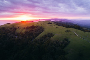 绝了！状元首秀炸裂，NBA最佳新秀悬念又起！