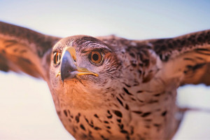 电竞正年轻,它承载了多少青春的梦想研究报告触动心弦