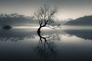 Astralis战队重组进行时,新阵容磨合效果如何备受瞩目! Astralis战队重组进行时,新阵容磨合效果如何备受瞩目!